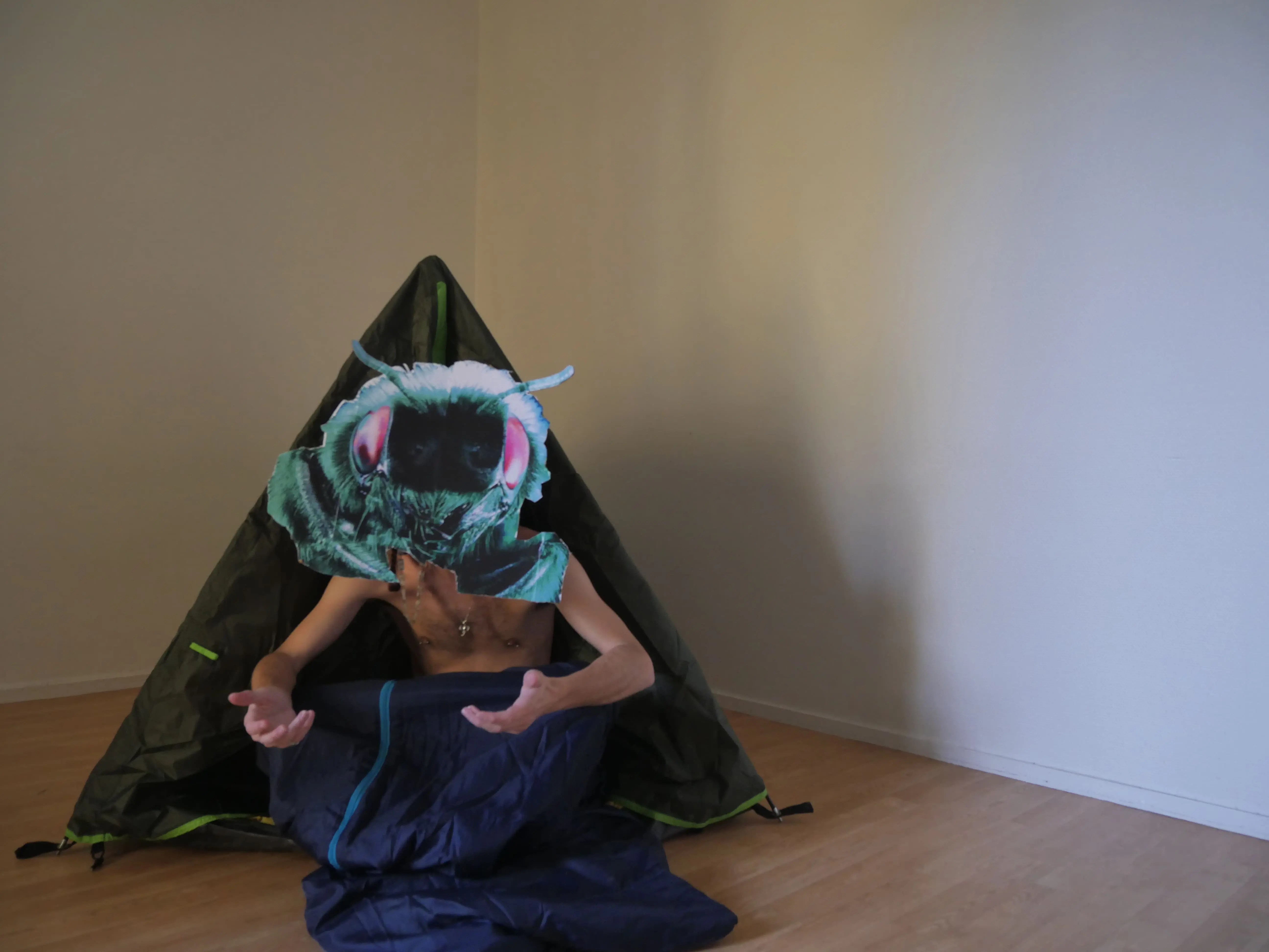 After ghost before insect